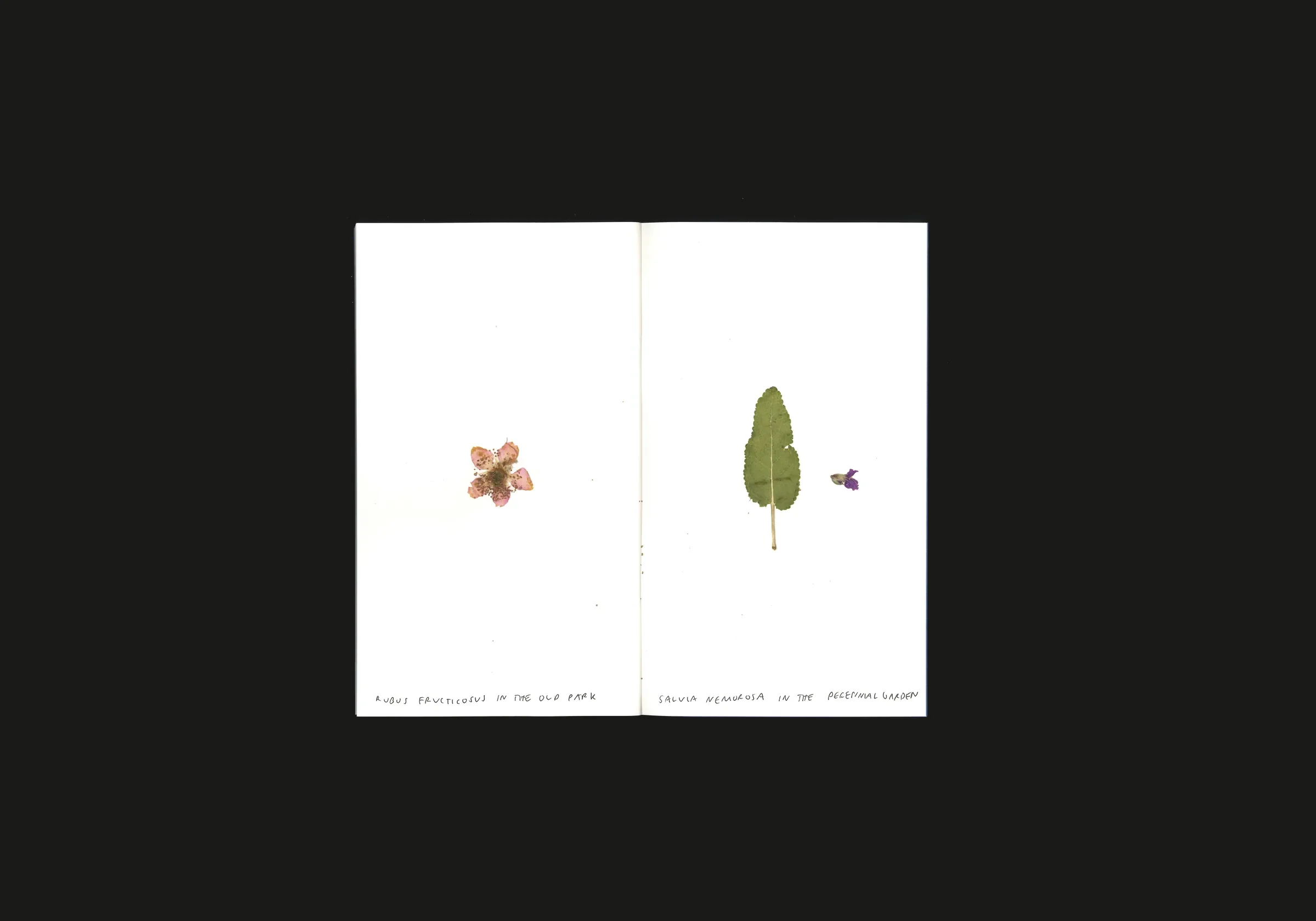 Neuss, Germany, image 12